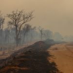 Queimadas causam prejuízo bilionário no estado de São Paulo