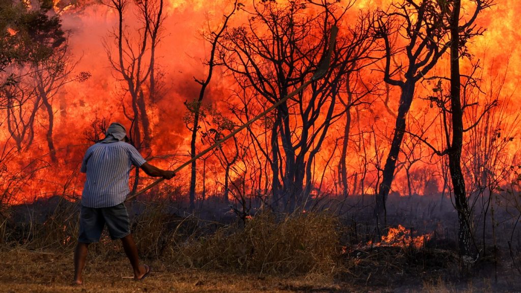 Grande incêndio atinge o Parque Nacional de Brasília