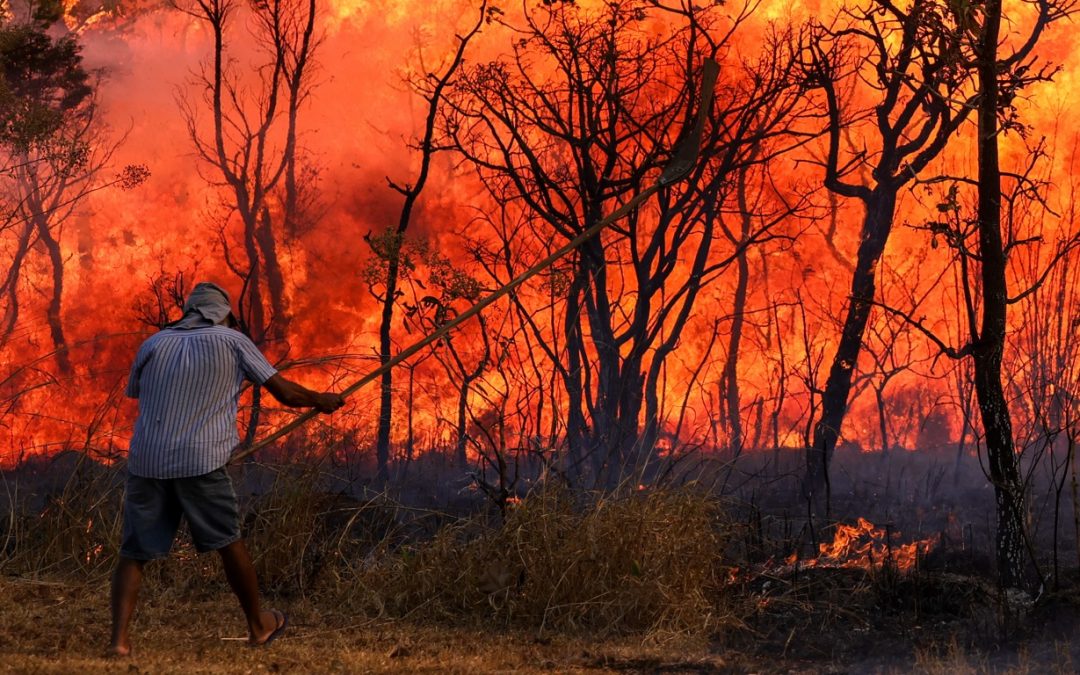 Grande incêndio atinge o Parque Nacional de Brasília Bombeiros e voluntários combatem um incêndio de grandes proporções que atinge neste domingo o Parque Nacional de Brasília