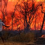 Grande incêndio atinge o Parque Nacional de Brasília