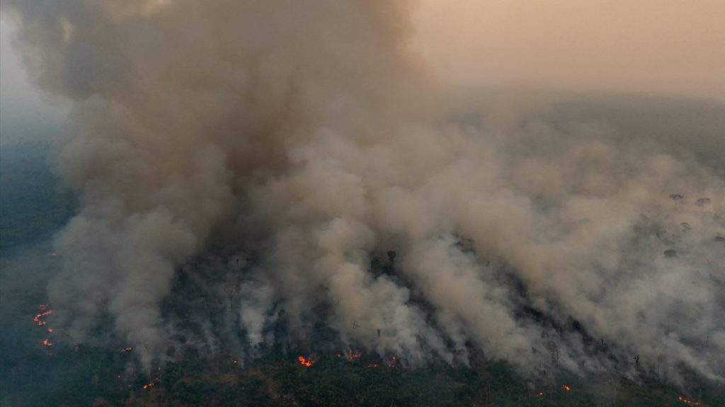 Fogo no Brasil neste ano já consumiu área maior que vários estados