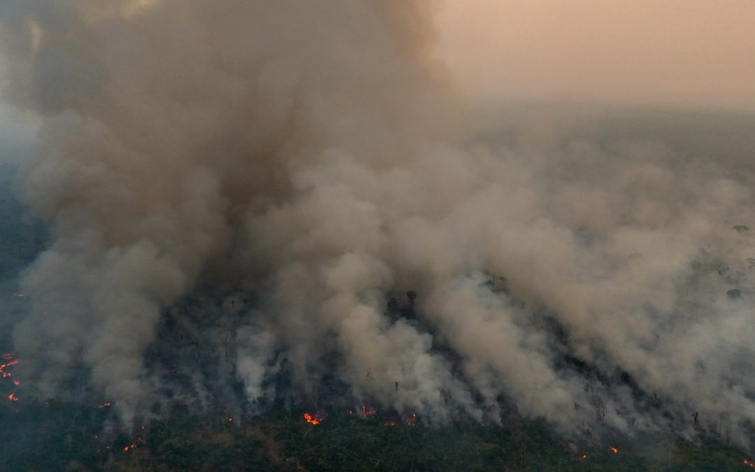 Fogo no Brasil neste ano já consumiu área maior que vários estados Levantamento publicado pelo MapBiomas nesta quinta-feira mostra quão desastroso é o ano de fogo no Brasil