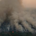 Fogo no Brasil neste ano já consumiu área maior que vários estados