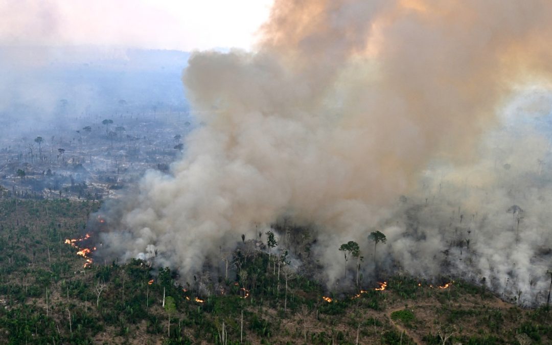 Setembro repete agosto e começa com muito fogo na Amazônia Setembro será mais um mês com elevadíssimo número de focos de queimadas na Amazônia com muito fogo no Amazonas e Pará