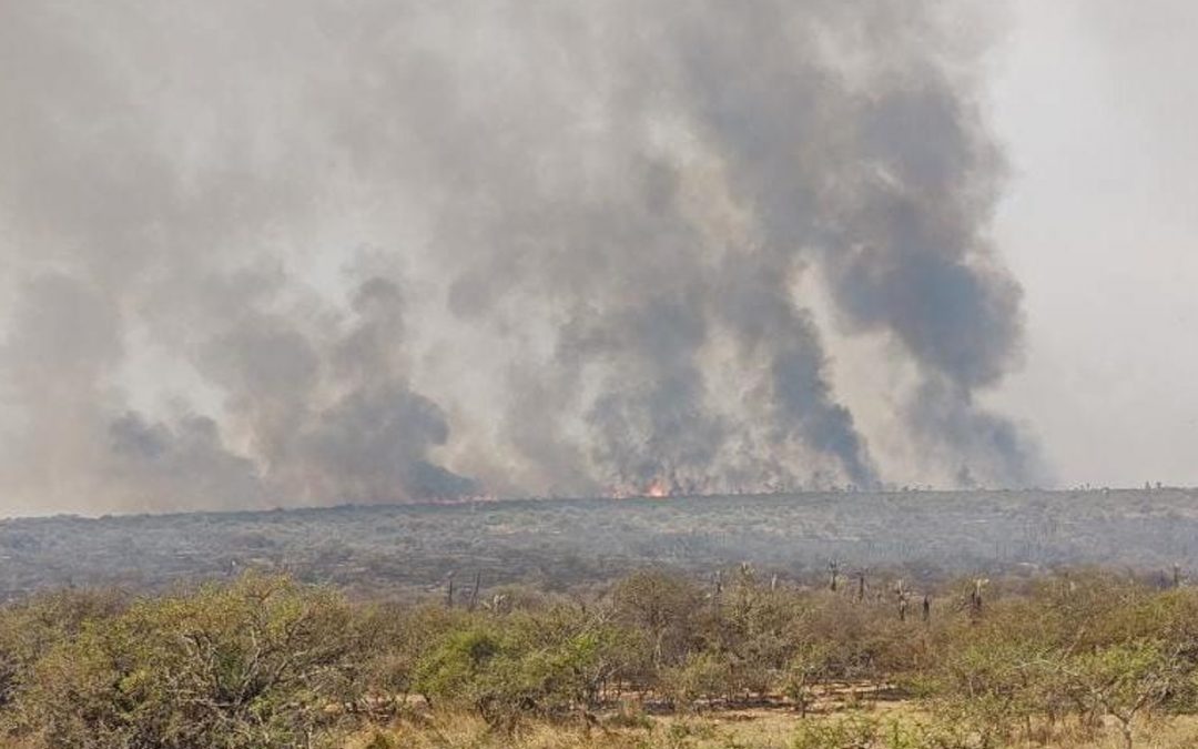 Incêndios também castigam a Argentina em meio ao tempo seco São dias seguidos de incêndios em vegetação sendo enfrentados por terra e ar na província argentina de Córdoba