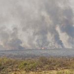 Incêndios também castigam a Argentina em meio ao tempo seco