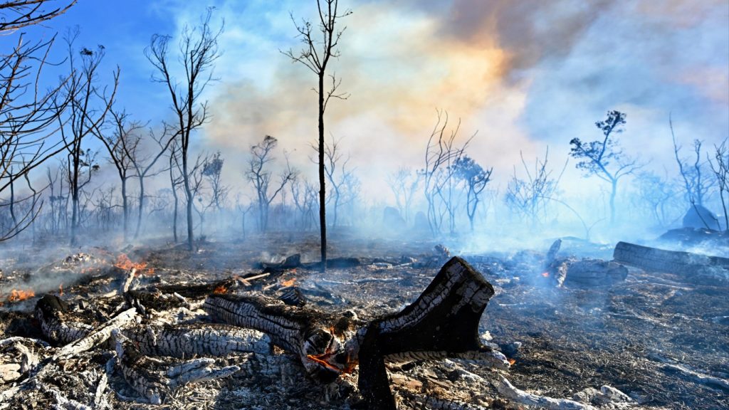 Oito estados e DF já superam média histórica de queimadas de setembro
