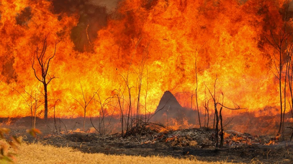 Impressionantes imagens mostram parede de fogo em Brasília