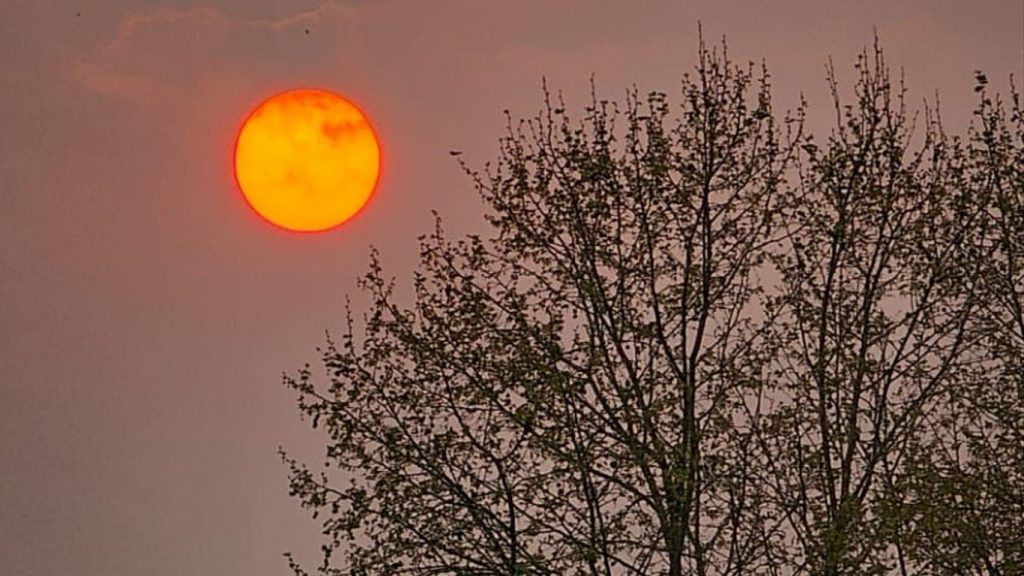 Calor de 40ºC e muita fumaça castigam o Sul do Brasil