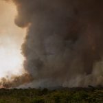 Fogo fora de controle avança em Brasília e já ameaça moradias