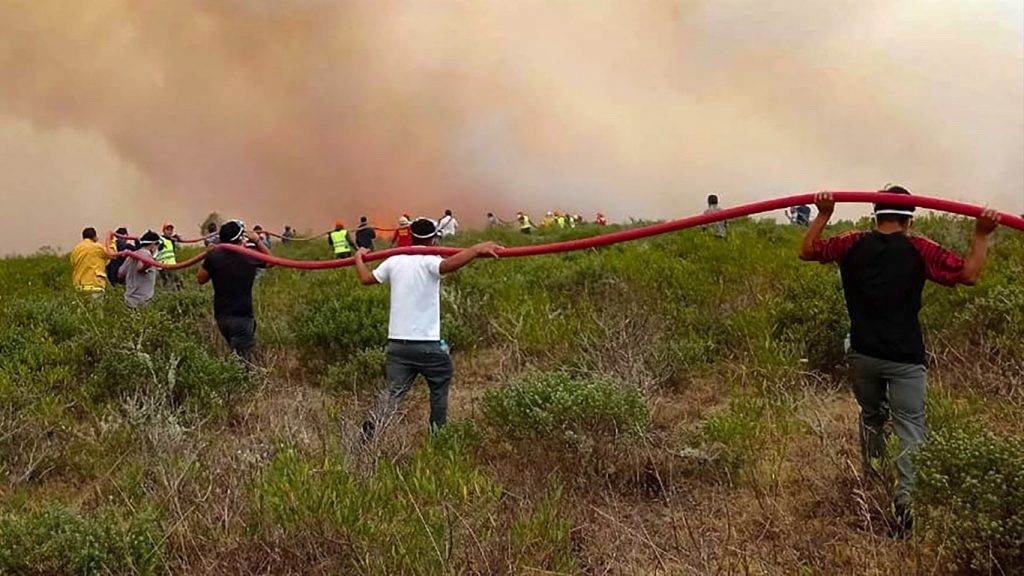 Peru declara emergência por incêndios florestais na região amazônica