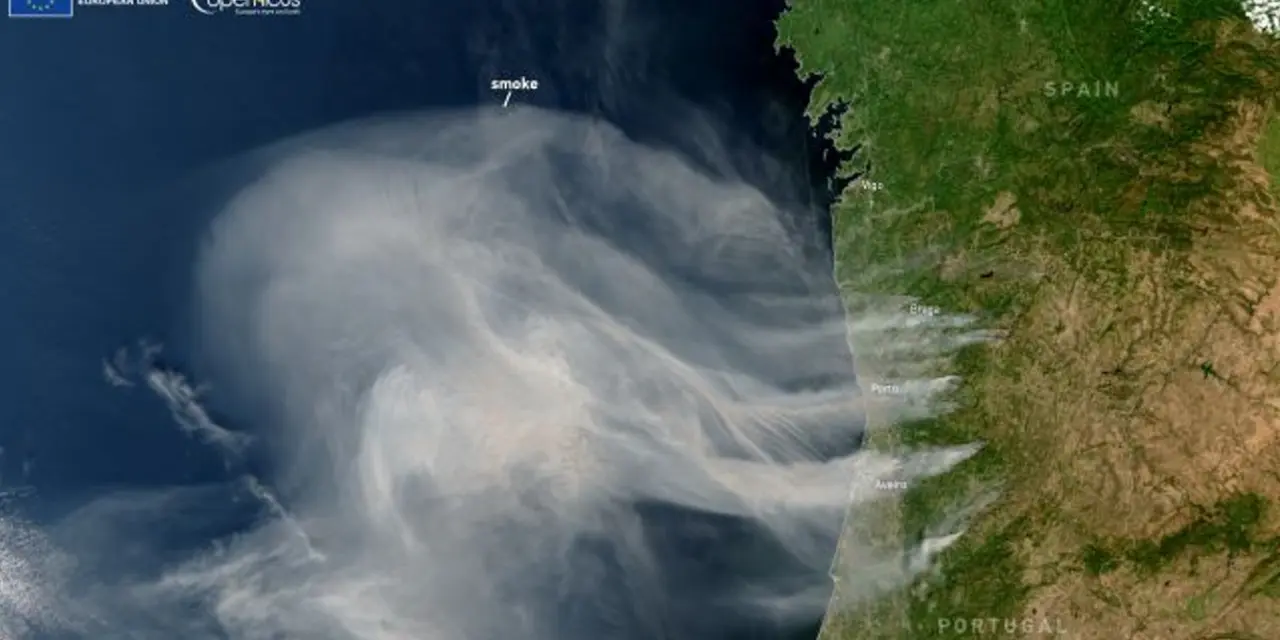 <span class="entry-title-primary">Incêndios geram emissõs recordes em Portugal</span> <h2 class="entry-subtitle">Emissões de carbono bateram recorde para setembro em Portugal com a onda de incêndios florestais que assola o país </h2>