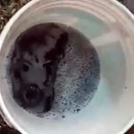 Frente fria avança e leva chuva preta a quatro países da América do Sul