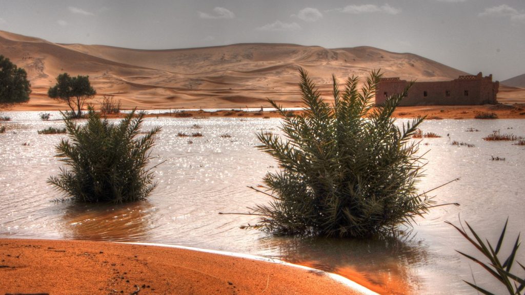Chuva extrema e incomum forma lagos no deserto do Saara