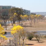 Umidade em níveis criticamente baixos em seis estados e Distrito Federal