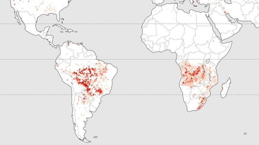 São Paulo aparece entre os locais do planeta com mais queimadas