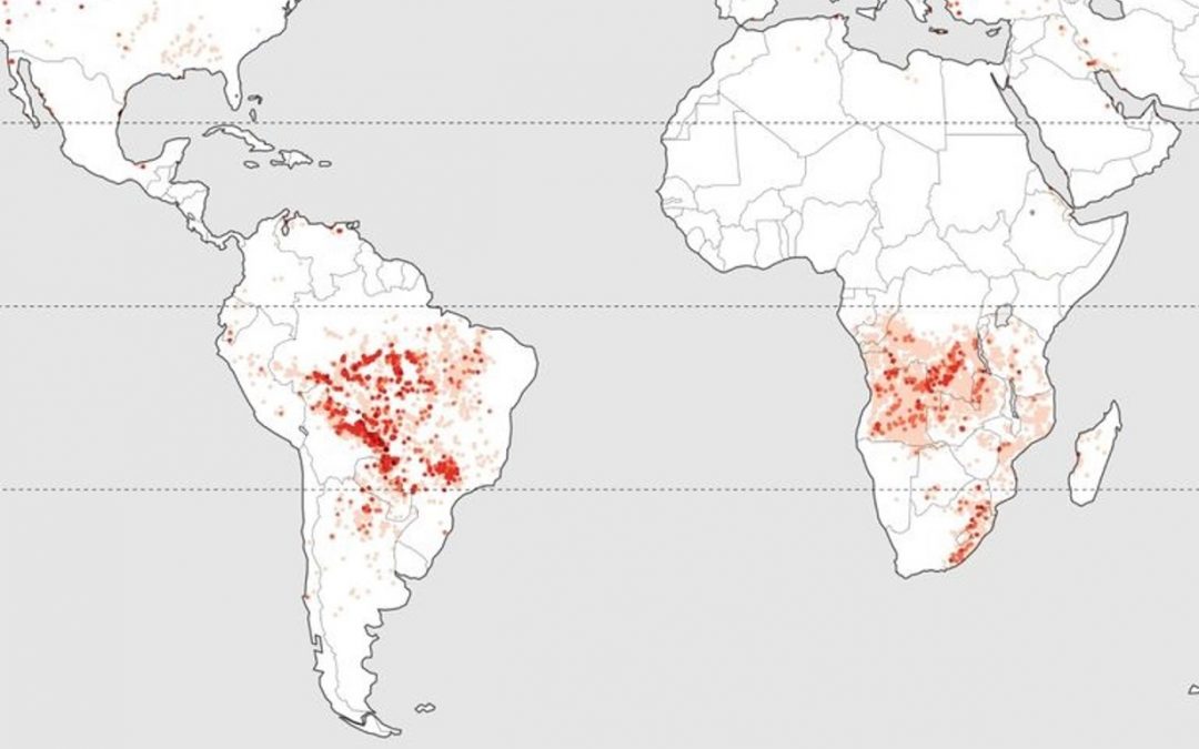 São Paulo aparece entre os locais do planeta com mais queimadas Onda de incêncios que atingiu o interior de São Paulo fez o estado ser um dos locais com mais fogo no mundo no mês de agosto