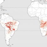 São Paulo aparece entre os locais do planeta com mais queimadas