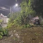 Vendaval acima de 100 km/h provoca estragos no interior gaúcho