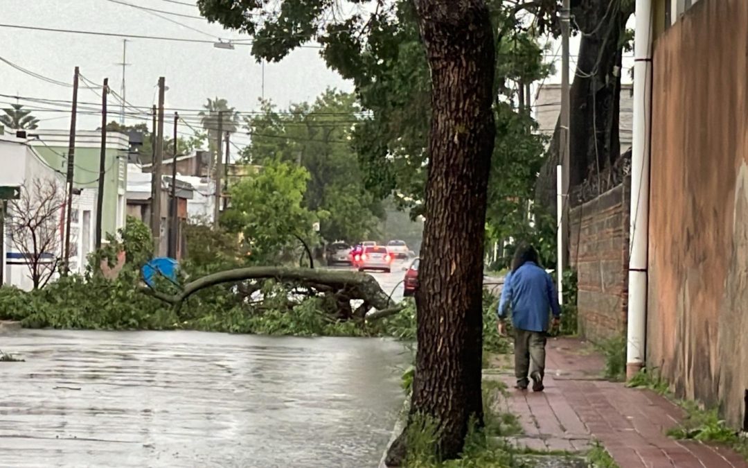Uruguai tem fortes temporais horas antes da formação de ciclone Uruguai está em alerta para a ocorrências de novos temporais com a formação de um ciclone sobre o seu território