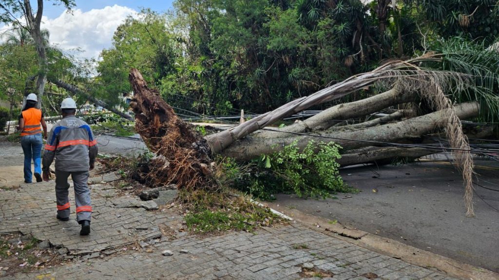 Episódio de chuva forte e temporais atingirá o Sudeste e o Centro-Oeste