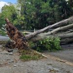 Episódio de chuva forte e temporais atingirá o Sudeste e o Centro-Oeste