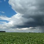 Forte calor inaugura a temporada de chuva de verão no Sul do Brasil