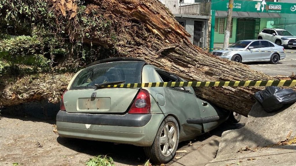 Como fica o tempo na semana em São Paulo após a grande tempestade