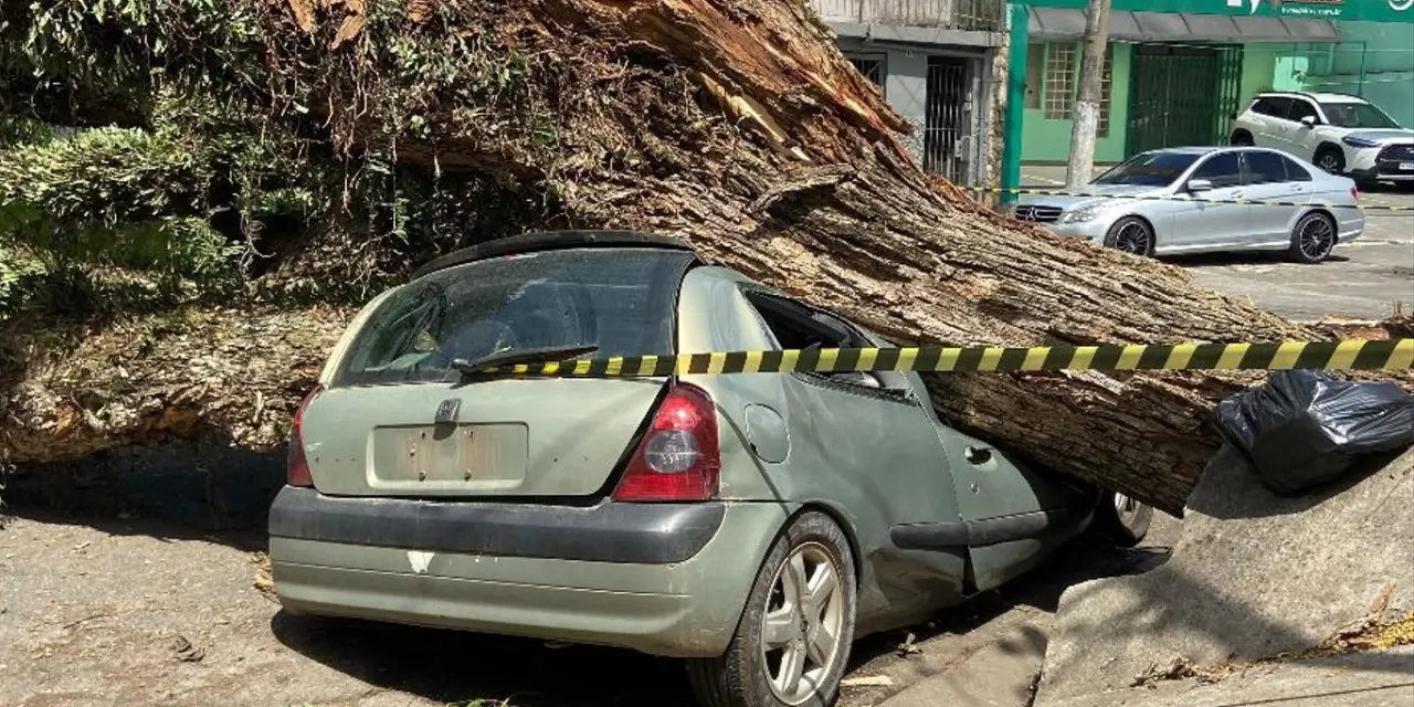 <span class="entry-title-primary">Como fica o tempo na semana em São Paulo após a grande tempestade</span> <h2 class="entry-subtitle">Cidade de São Paulo ainda sofre as graves consequências da tempestade severa com rajadas acima de 100 km/h da sexta-feira </h2>