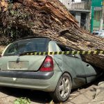 Como fica o tempo na semana em São Paulo após a grande tempestade