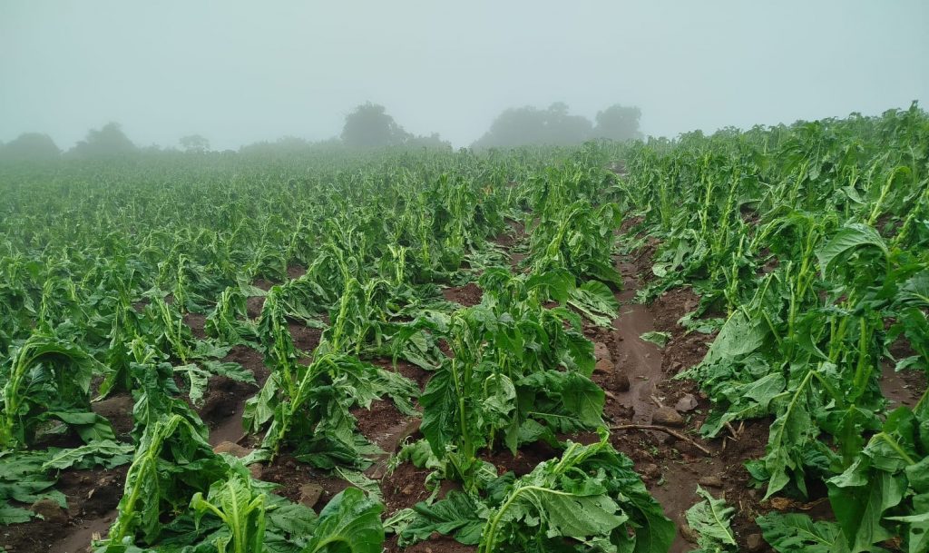 Temporais já causam prejuízos no Rio Grande do Sul