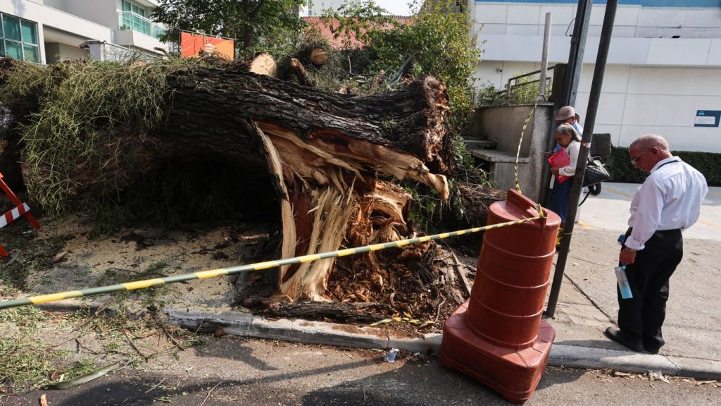 São Paulo pode enfrentar um novo violento temporal?