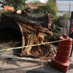 São Paulo pode enfrentar um novo violento temporal?