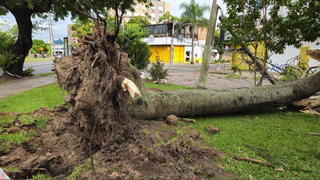 Onda de temporais avança com vendavais e risco de danos e falta de luz