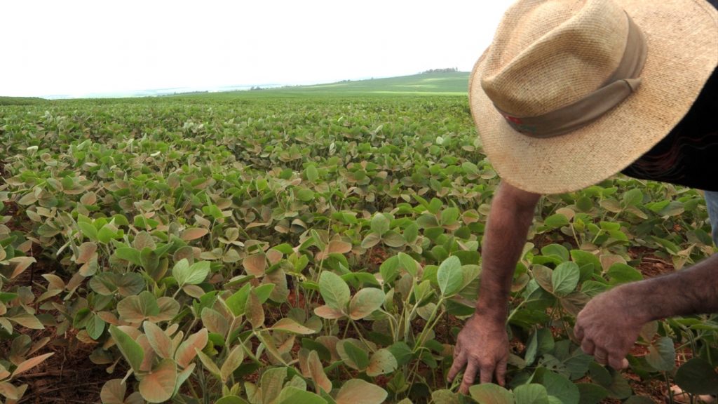 Agronegócio vê aumento de recuperações judiciais com extremos do clima