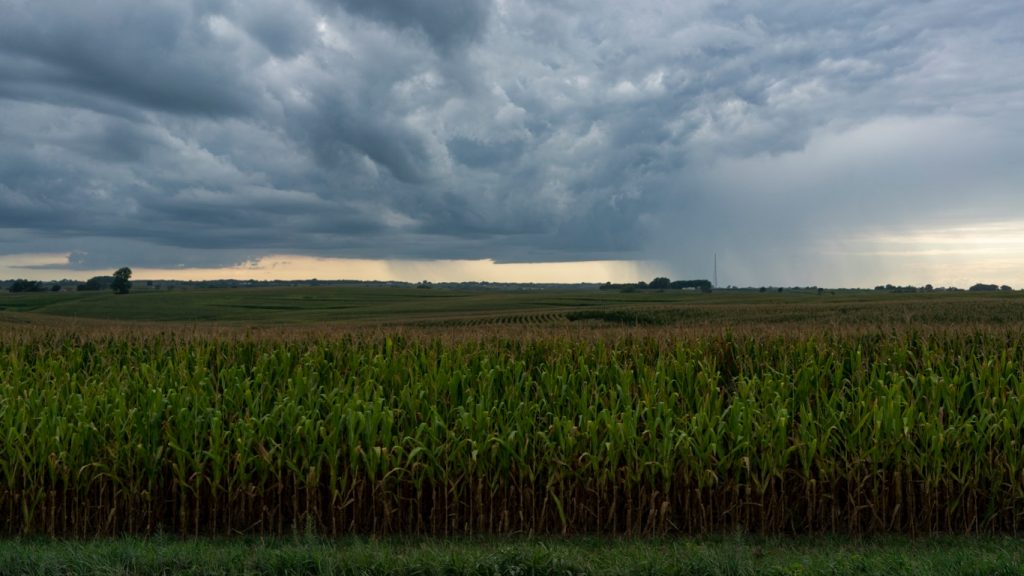 Chuva afasta o risco de estiagem no começo do verão no Sul do Brasil