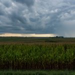 Chuva afasta o risco de estiagem no começo do verão no Sul do Brasil