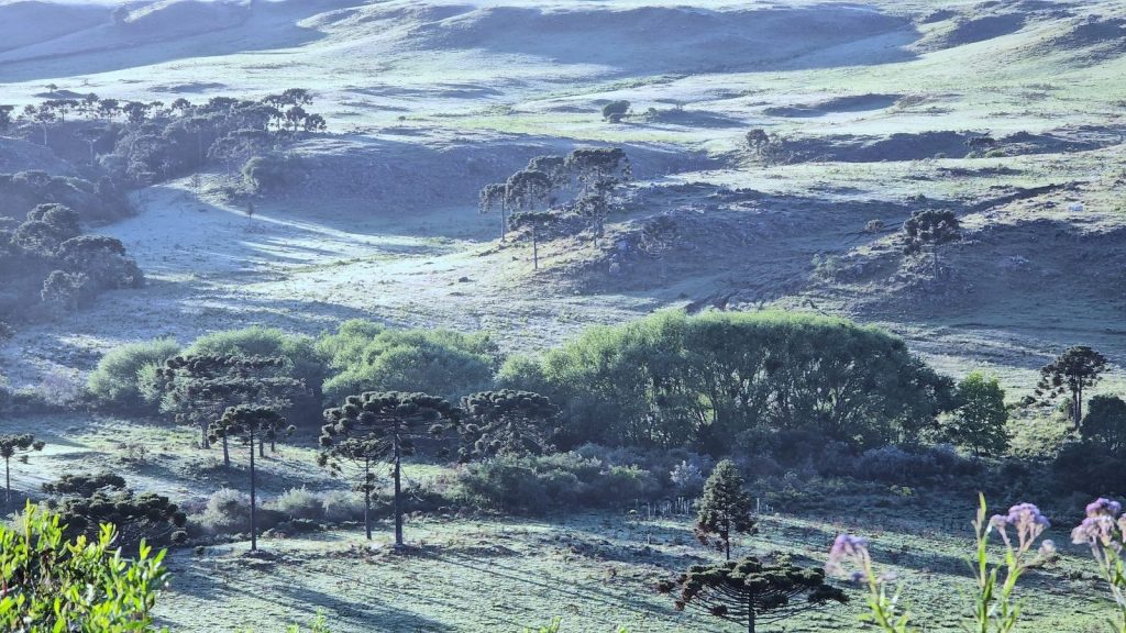 Frio e geada em pleno novembro no Sul do Brasil