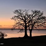 Confira como fica o tempo no Rio Grande do Sul neste fim de semana