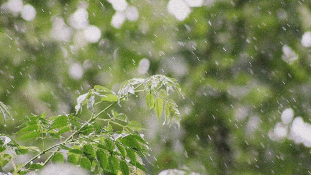 Chuva irregular soma até 50 mm no interior gaúcho: vem mais água?