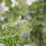 Chuva irregular soma até 50 mm no interior gaúcho: vem mais água?
