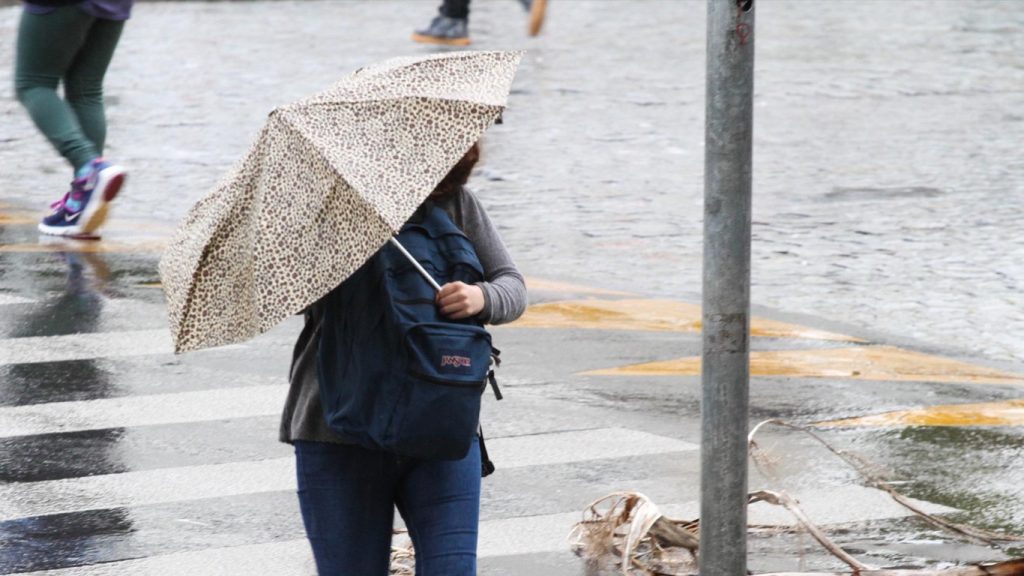 Chuva retorna ao Sul do Brasil no final da primavera