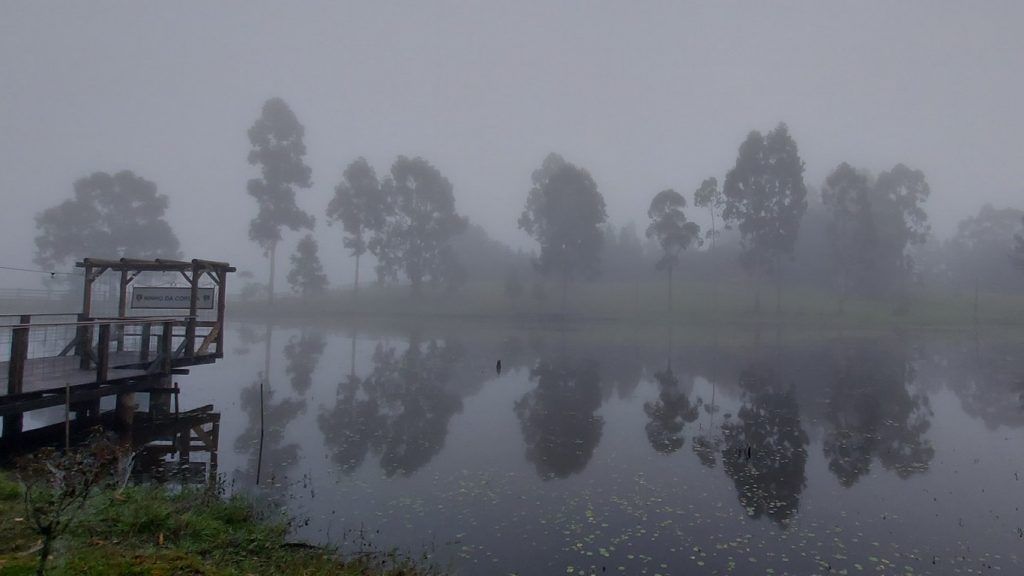 Começo de semana com temperatura de outono em pleno dezembro