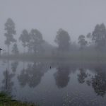 Começo de semana com temperatura de outono em pleno dezembro