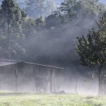 Frio fora de época segue com baixa temperatura a duas semanas do Natal