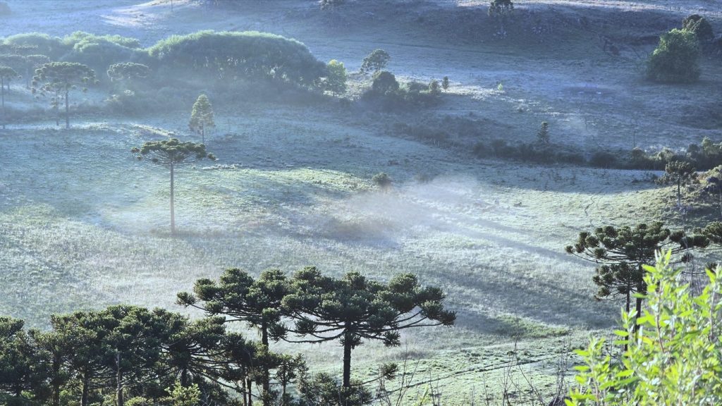 Frio de 3ºC em pleno fim de ano cobre campos de gelo no Sul do Brasil
