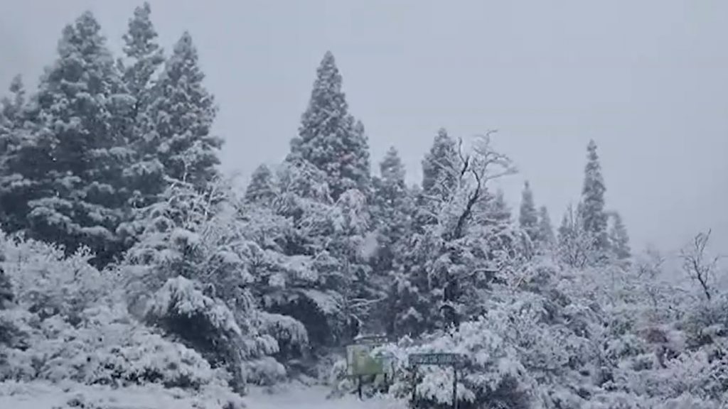 Massa de ar frio traz neve em dezembro na Argentina e chegará ao Brasil