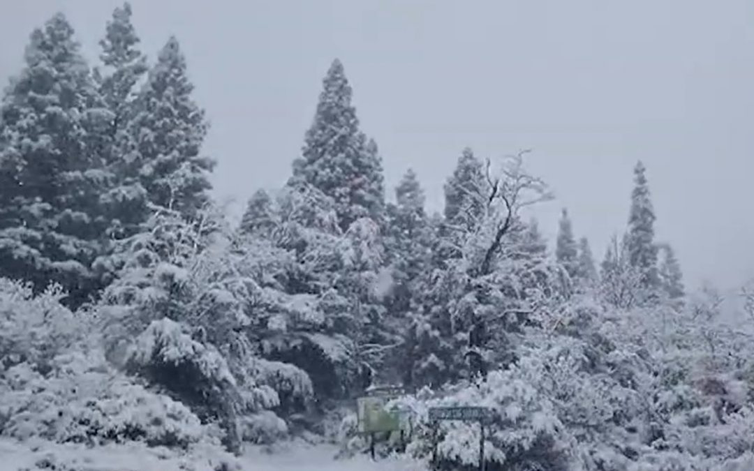 Massa de ar frio traz neve em dezembro na Argentina e chegará ao Brasil Forte massa de ar frio que chegará ao Sul do Brasil neste fim de semana provocou neve nas últimas horas na Patagônia