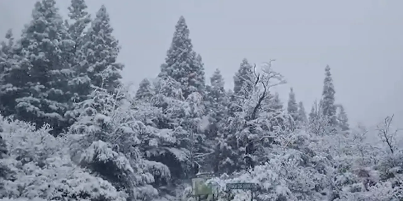 <span class="entry-title-primary">Massa de ar frio traz neve em dezembro na Argentina e chegará ao Brasil</span> <h2 class="entry-subtitle">Forte massa de ar frio que chegará ao Sul do Brasil neste fim de semana provocou neve nas últimas horas na Patagônia </h2>