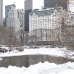Nova York tem primeiro Natal branco em 15 anos